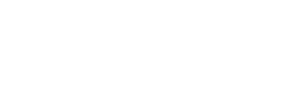 Clifford Springs – Seal Energising Technologies, part of Lesjöfors